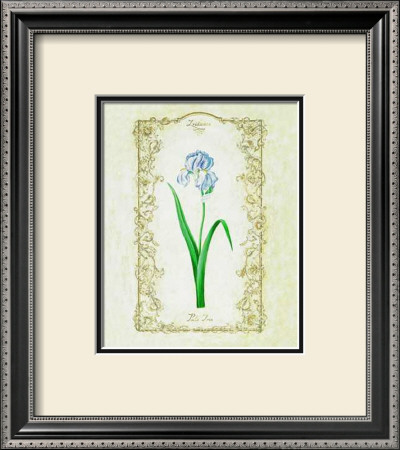 Pale Iris by Eva Komura Pricing Limited Edition Print image