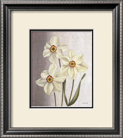 Spring Narcissus by Debra Lake Pricing Limited Edition Print image