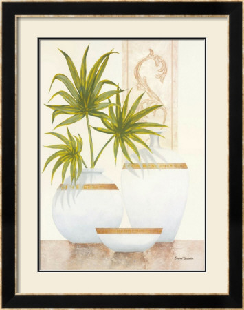 Sheer Elegance I by David Sedalia Pricing Limited Edition Print image