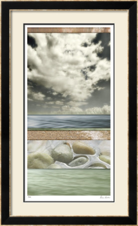 Elements Ii by Donna Geissler Pricing Limited Edition Print image