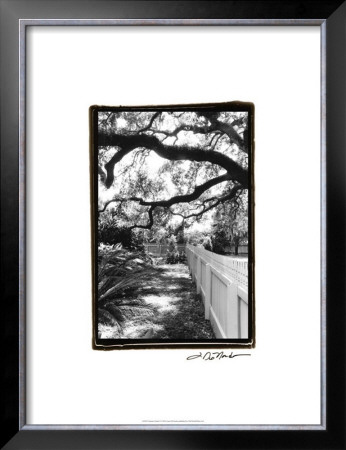 Summer Shade I by Laura Denardo Pricing Limited Edition Print image