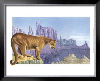 Puma by Alan Baker Pricing Limited Edition Print image