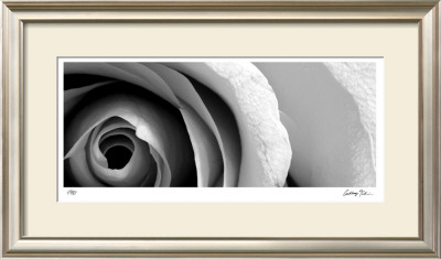 Stillness Iii by Anthony Tahlier Pricing Limited Edition Print image