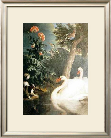 Cygnes by Alexandre-Francois Desportes Pricing Limited Edition Print image