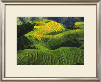 Rizieres En Terrasse, Chine by Keren Su Pricing Limited Edition Print image