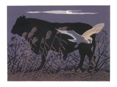 Barn Owl/Bull Moonlight by Robert Gillmor Pricing Limited Edition Print image
