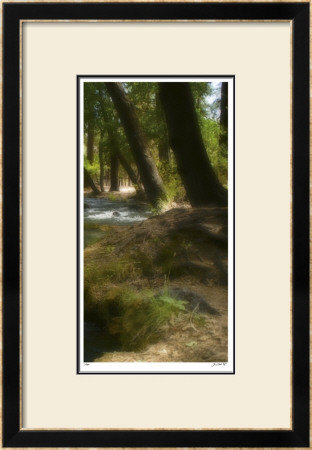 Serenity Stream Iii by Joy Doherty Pricing Limited Edition Print image