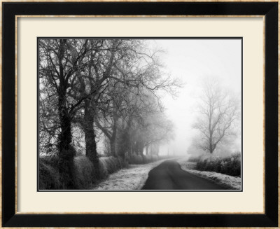 Misty Tree, Lined Road by Stephen Rutherford-Bate Pricing Limited Edition Print image