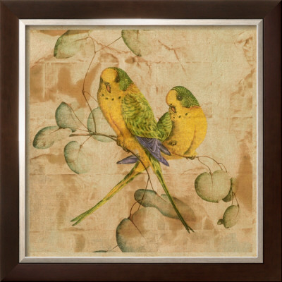 Songbirds I by John Butler Pricing Limited Edition Print image