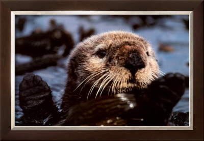 Remember Valdez by Bob Talbot Pricing Limited Edition Print image