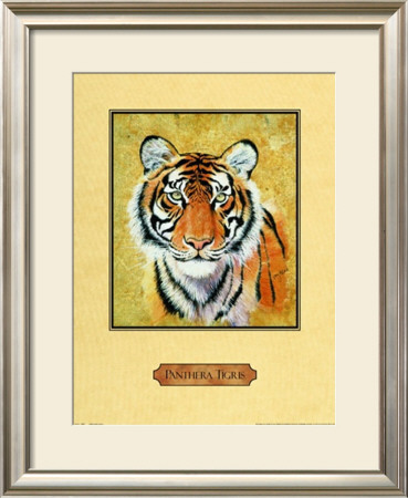 Tiger by Nancy Azneer Pricing Limited Edition Print image