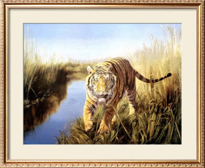 Tiger In The Indian Sunderbans by Leonard Pearman Pricing Limited Edition Print image