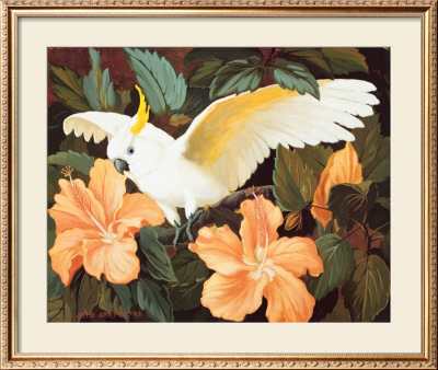 Cockatoo And Hibiscus by Jessie Arms Botke Pricing Limited Edition Print image
