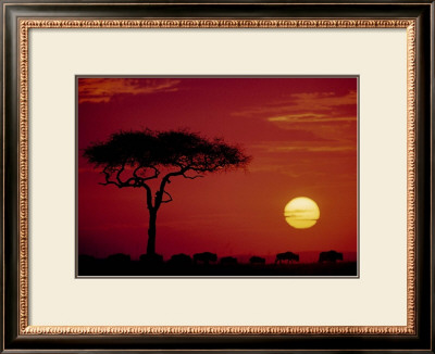 Wild Beast Migration, Masai Mara, Kenya by Dee Ann Pederson Pricing Limited Edition Print image