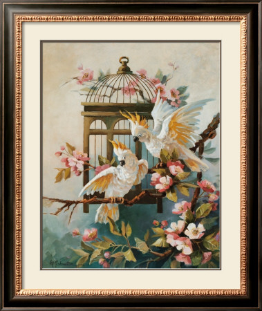 Cockatoo And Blossoms by Maxine Johnston Pricing Limited Edition Print image