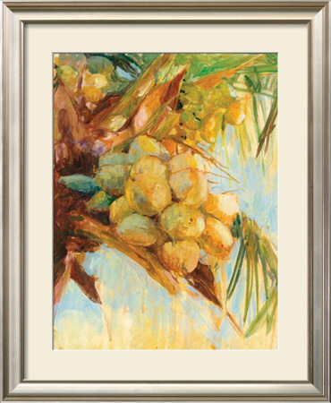 Golden Coconuts by Sara Abbott Pricing Limited Edition Print image
