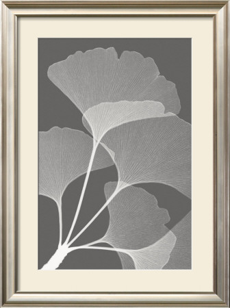 Ginkgos Ii by Steven N. Meyers Pricing Limited Edition Print image