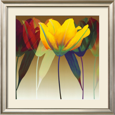 Lily Dance by Robert Mertens Pricing Limited Edition Print image