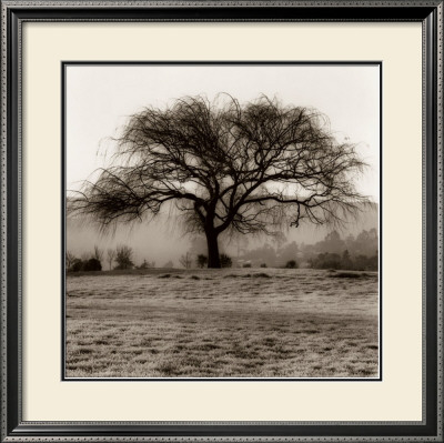 Willow Tree by Alan Blaustein Pricing Limited Edition Print image