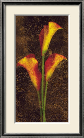 Callas by John Seba Pricing Limited Edition Print image