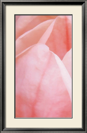 Pink Tulip I by Gabriel Scott Pricing Limited Edition Print image