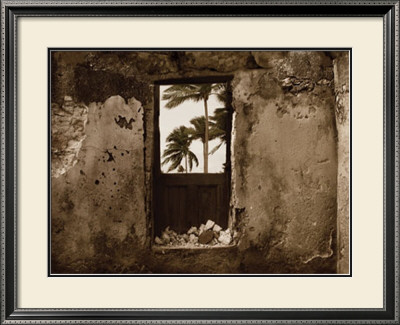 Palm View I by C. J. Groth Pricing Limited Edition Print image