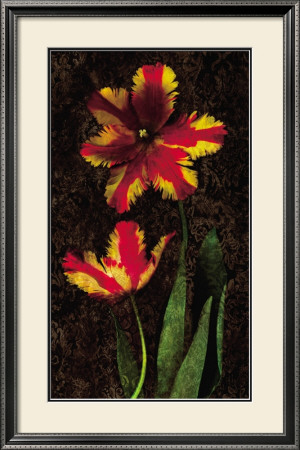 Decorative Tulips Ii by John Seba Pricing Limited Edition Print image