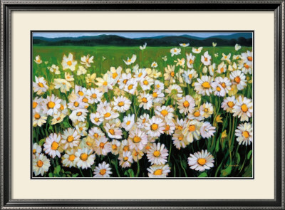 I Love Daisies by Liliane Fournier Pricing Limited Edition Print image