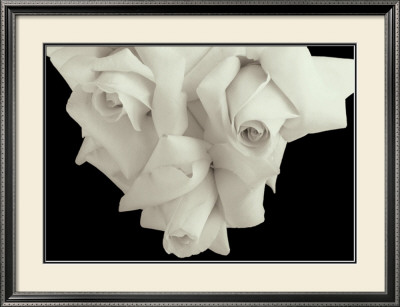 Rose Iv by Ahmed Sirry Pricing Limited Edition Print image