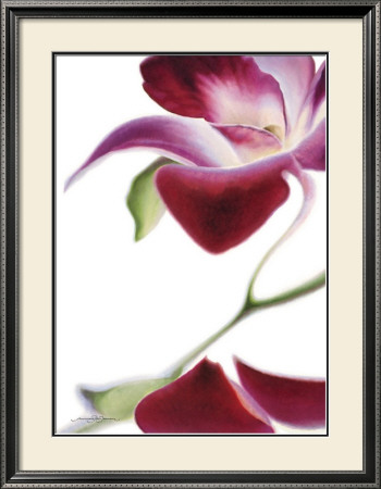 Purple Orchid Ii by Annemarie Peter-Jaumann Pricing Limited Edition Print image
