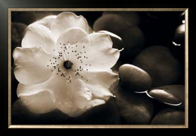 Gardenia I by Jeanne Michel Pricing Limited Edition Print image