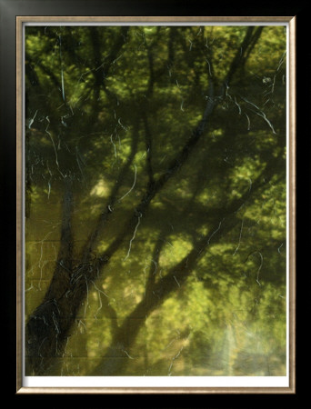Shaded Reflection Ii by Jennifer Goldberger Pricing Limited Edition Print image