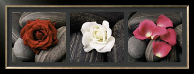Roses On Stones by Laurent Pinsard Pricing Limited Edition Print image