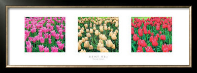 Tulip Panel by Bent Rej Pricing Limited Edition Print image