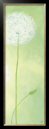 Delicateness Of The Dandelion Iii by Sabine Mannheims Pricing Limited Edition Print image