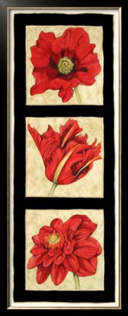 Flower Trio In Black Ii by Jennifer Goldberger Pricing Limited Edition Print image
