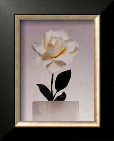 Rose by Dick & Diane Stefanich Pricing Limited Edition Print image