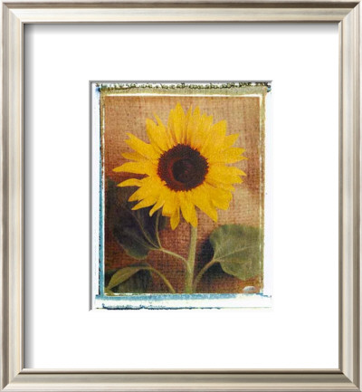 Sunflowers by Vincenzo Ferrato Pricing Limited Edition Print image