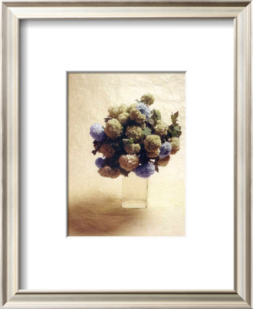 Cut Flowers Iii by Vincenzo Ferrato Pricing Limited Edition Print image