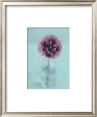 Studio Flower by Charlie Hopkinson Pricing Limited Edition Print image