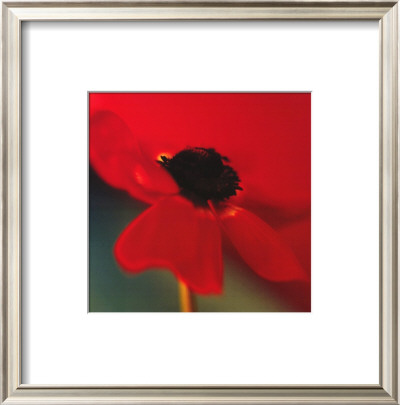 Red On Turquoise by Jane Ann Butler Pricing Limited Edition Print image
