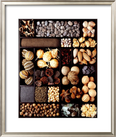 Seeds by Corynne Ryman Pricing Limited Edition Print image