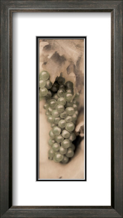 Pinot Blanc by Alan Blaustein Pricing Limited Edition Print image