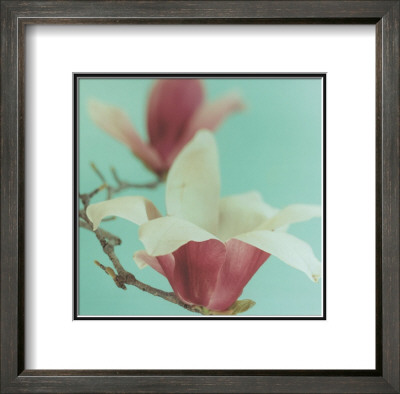 Magnolia by Natalie Lane Pricing Limited Edition Print image