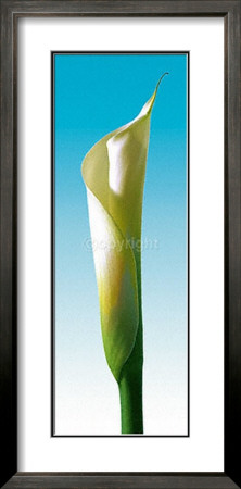 Turquoise Callas Trilogy I by Inka Vogel Pricing Limited Edition Print image