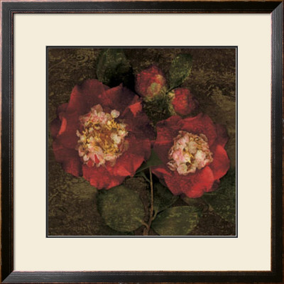 Red Camellias Ii by John Seba Pricing Limited Edition Print image