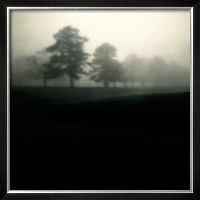 Fog Tree Study Ii by Jamie Cook Pricing Limited Edition Print image
