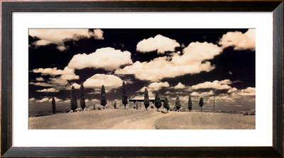 Cypress Trees, Tuscany by Lee Frost Pricing Limited Edition Print image