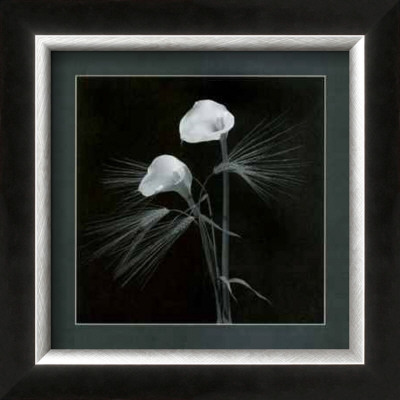 Calla Lilies by Alfred Gockel Pricing Limited Edition Print image