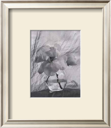 Magnolia by Nancy Gillespie Pricing Limited Edition Print image